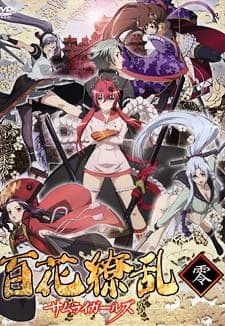Samurai Girls anime poster