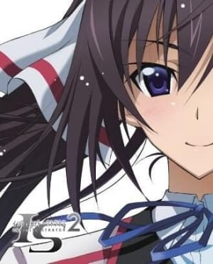 IS: Infinite Stratos 2: Long Vacation Edition - The Memories of One Summer anime poster