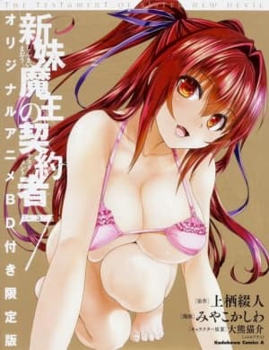 The Testament of Sister New Devil 2nd Season: Burst OVA anime poster
