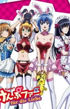 Kämpfer für die Liebe anime poster