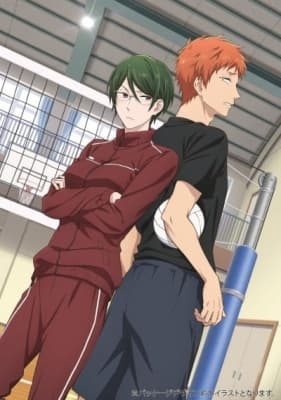 Wotaku ni Koi wa Muzukashii OVA anime poster