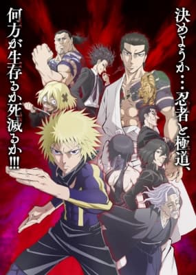 Ninja vs. Gokudo anime poster