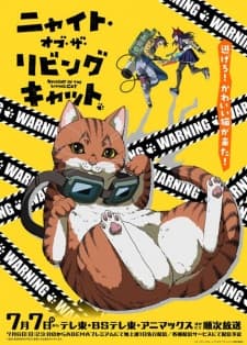 Nyaight of the Living Cat anime poster