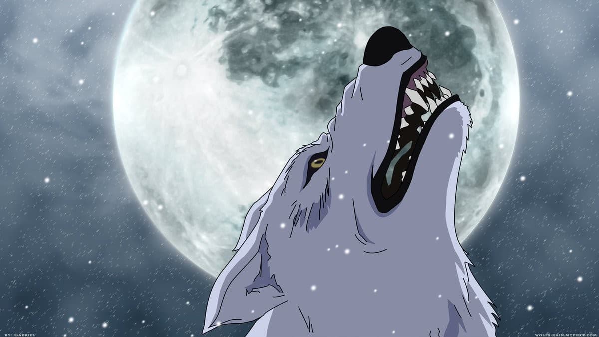 Watch Wolf's Rain - Your Space to Watch & Rewatch Anime Online | ReWatch