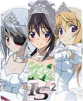 Watch IS: Infinite Stratos 2 - Infinite Wedding anime free online