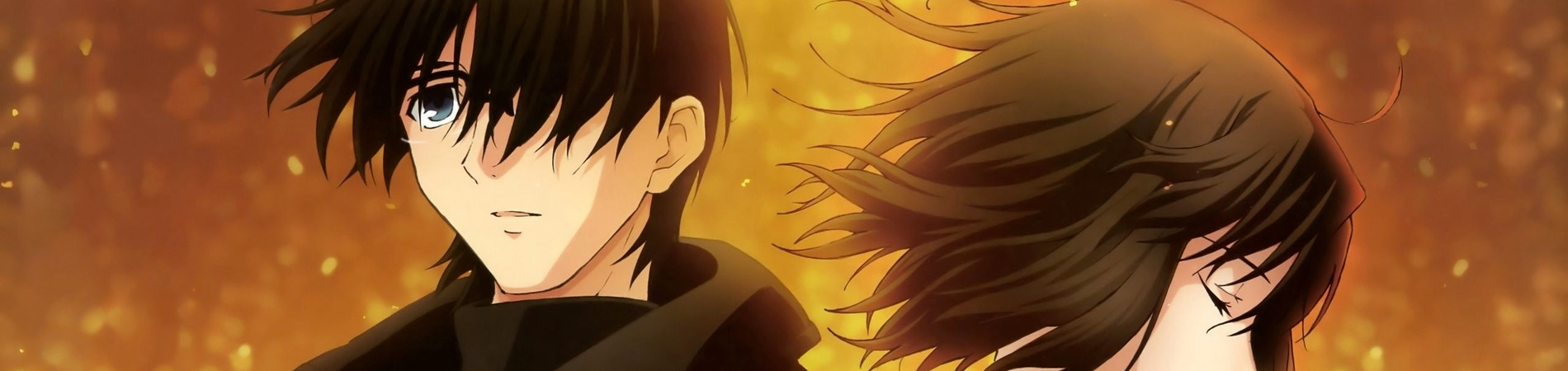 Watch the Garden of sinners Chapter 8: The Final Chapter anime free online
