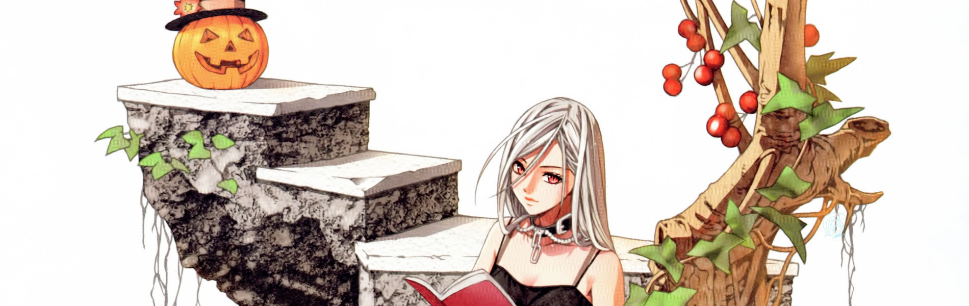 Watch Rosario + Vampire 2nd Season anime free online