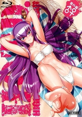 Highschool of the Dead: Drifters of the Dead anime poster