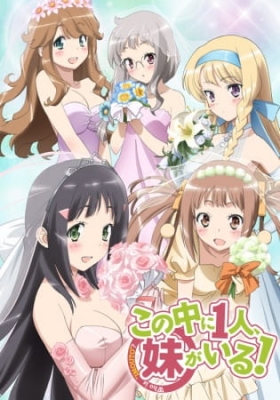 Watch NAKAIMO - My Little Sister Is Among Them! anime free online