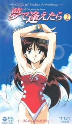 If I See You in My Dreams: OVA anime poster