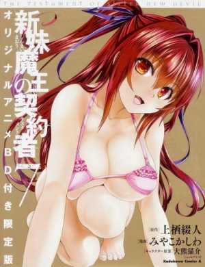 The Testament of Sister New Devil 2nd Season: Burst OVA anime poster