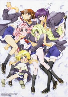 Girls Bravo anime poster