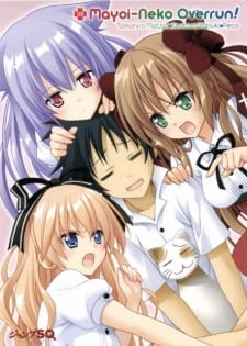 Watch Mayoi Neko Overrun! Specials anime free online