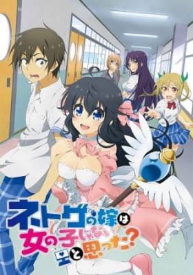 And you thought there is never a girl online? anime poster