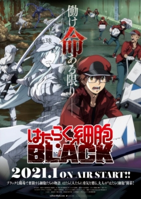 Cells at Work! Code Black (TV) anime poster