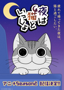 Watch Nights with a Cat anime free online