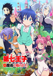 I Was Reincarnated as the 7th Prince so I Can Take My Time Perfecting My Magical Ability anime poster