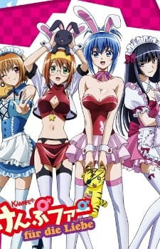 Kämpfer für die Liebe anime poster