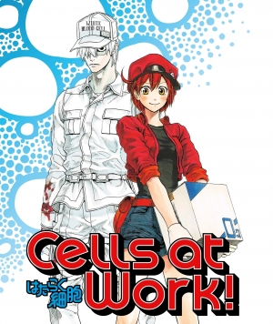 Cells at Work Special anime poster