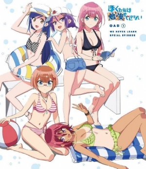 Bokutachi wa Benkyou ga Dekinai: Nagisa ni Usemono Arite Senjin wa Enzen to [X] Suru anime poster