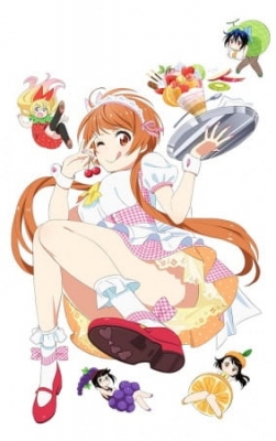 Watch Nisekoi OVA anime free online