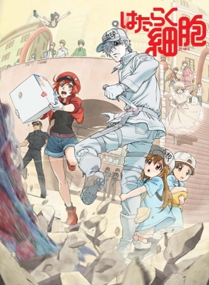 Cells at Work! anime poster