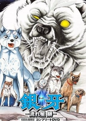 Silver Fang: The Shooting Star Gin anime poster