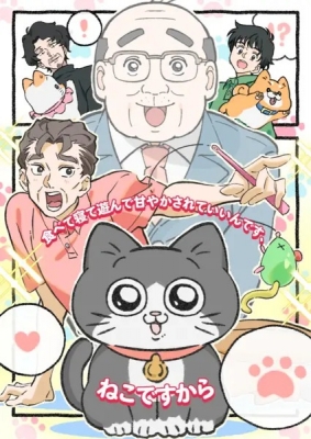 Neko ni Tensei shita Ojisan anime poster