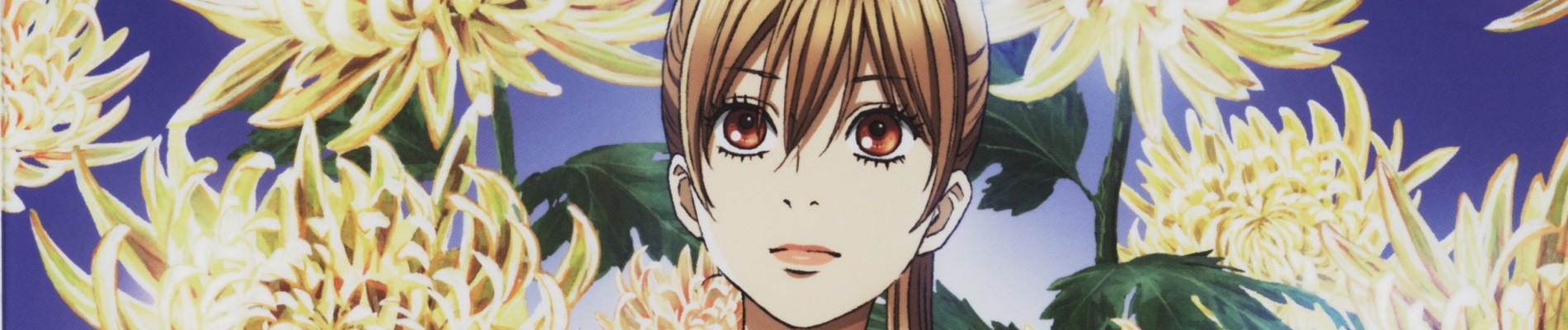 Watch Chihayafuru 2 - Your Space to Watch & Rewatch Anime Online | ReWatch