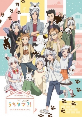 Uchitama?! Have you seen my Tama? anime poster