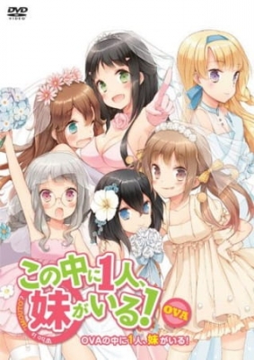 Watch Kono Naka ni Hitori, Imouto ga Iru!: Ani, Imouto, Koibito anime free online