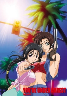 You're Under Arrest: No Mercy!! anime poster