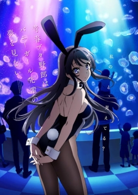 Rascal Does Not Dream of Bunny Girl Senpai anime poster