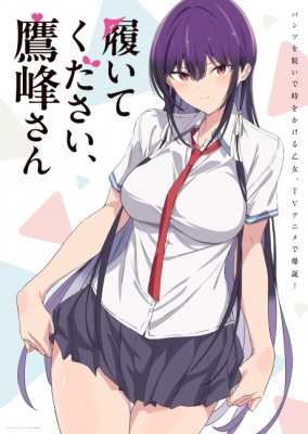 Please Put Them On, Takamine-san anime poster