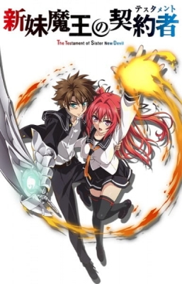 Watch The Testament of Sister New Devil OVA anime free online