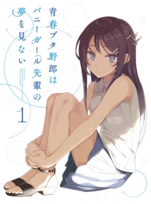 Seishun Buta Yarou wa Bunny Girl Senpai no Yume wo Minai Picture Drama anime poster